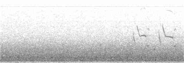 Long-tailed Meadowlark - ML202227871