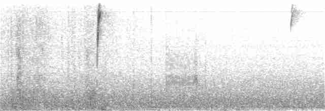 Патагонский овсяночник - ML202232721