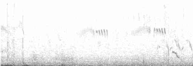 Dot-winged Crake - ML202238751