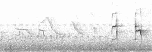 Пестрогрудый эспинеро - ML202240121
