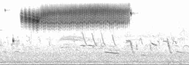 Çekirge Sesli Çayır Serçesi - ML202278