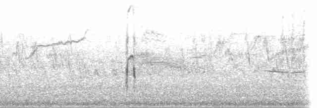 strakapoud americký (ssp. orius/icastus) - ML202285