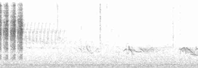 Домовый крапивник [группа aedon] - ML202288