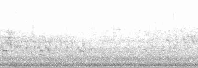 Ивовый мухолов (brewsteri/adastus) - ML202290