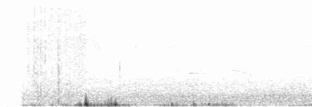 Common Gallinule - ML20233801
