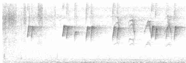 Мухолов-клинодзьоб сірий - ML202342931