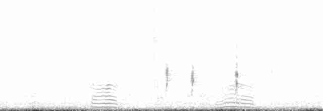 gråhodesultanhøne - ML202403801
