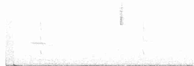 Black-chinned Hummingbird - ML202456601