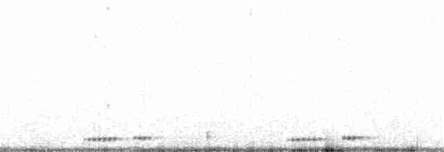 Cuervo Grande - ML202463611