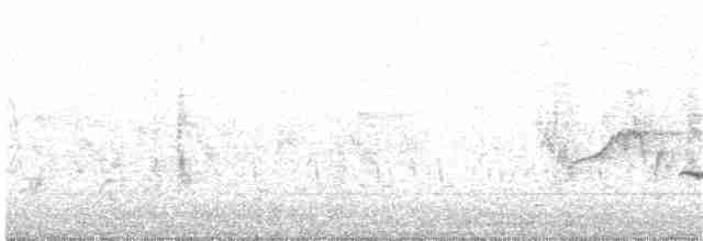 Чёрный тугайный соловей - ML202506901