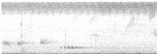 Turuncu Alınlı Barbet - ML20251621