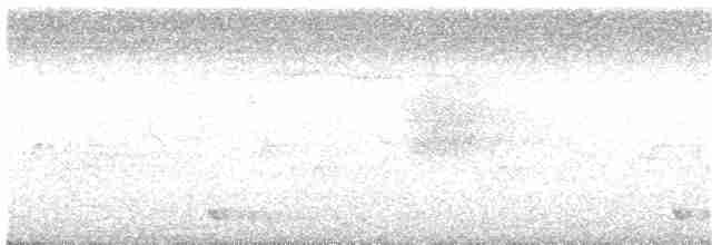 Turuncu Alınlı Barbet - ML20253971