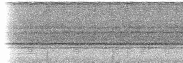 Diard Trogonu - ML202557