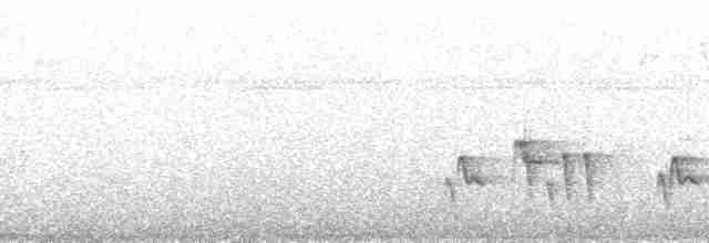 Mangrove Whistler - ML202584