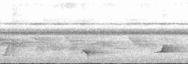Oriole Whistler - ML202600