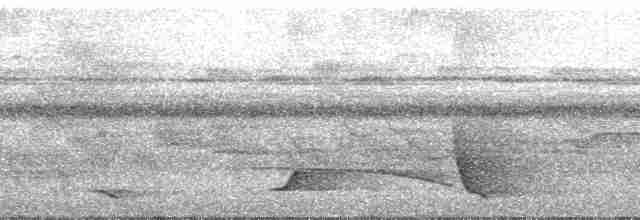 Oriole Whistler - ML202607