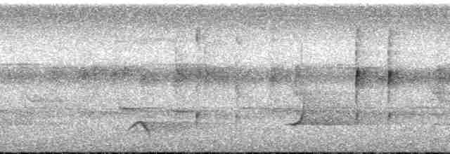 Oriole Whistler - ML202623