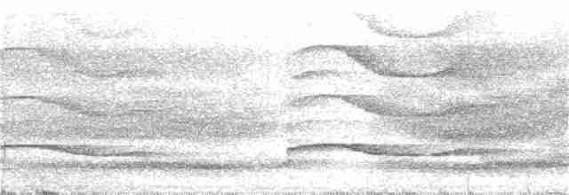 kivi jižní (ssp. lawryi) - ML202650751