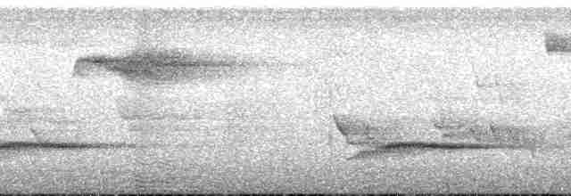 Соломонский карликовый попугайчик - ML202666