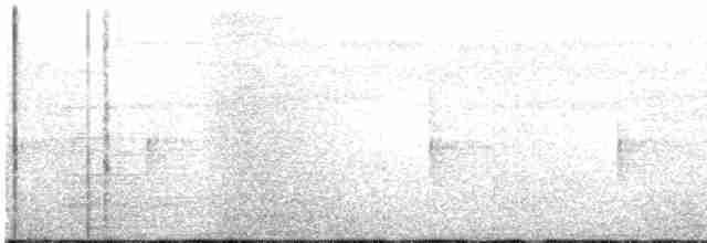 Sulphur-bellied Warbler - ML202678601
