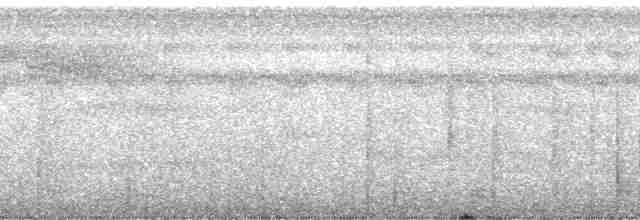Oriole Whistler - ML202682