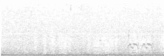 Свиристелевый сорокопут - ML202732721