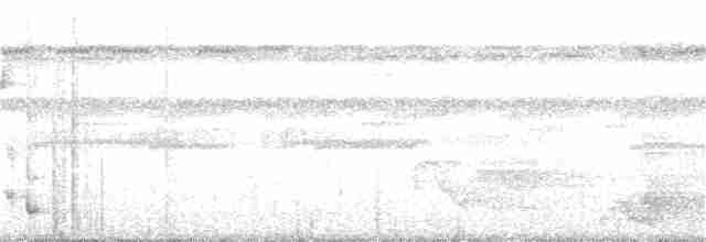 Tüpfelkronen-Ameisenvogel - ML202809431