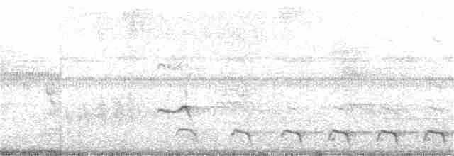 Желтобрюхий трогон - ML202823161