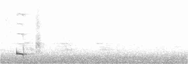 Lance-tailed Manakin - ML202833461