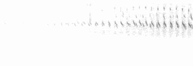 morčák chocholatý - ML202859201