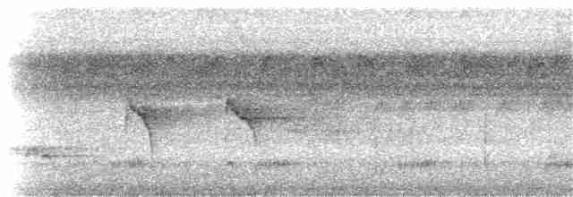 Каатинга плямистокрила [група boucardi] - ML202889021