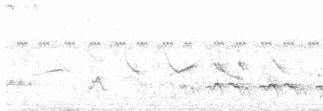 White-eared Puffbird - ML202948781