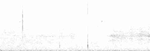 White-shouldered Ibis - ML202950961