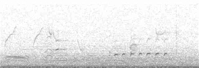 Common Redshank - ML202984791