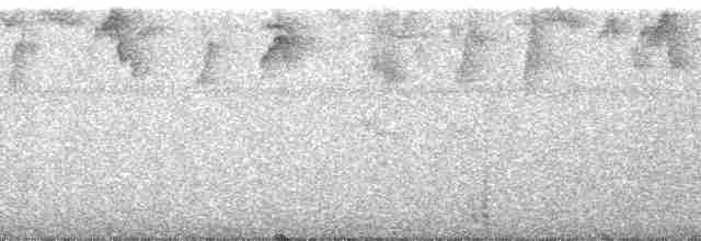 Gray-chinned Hermit (Gray-chinned) - ML203016