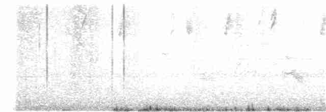 Sperlingsvogel, unbestimmt - ML20303871