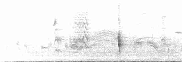 Дрізд-короткодзьоб плямистоволий - ML203048201