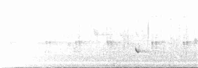 White-tailed Kite - ML203049031