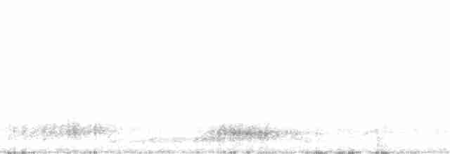 Рыжебрюхий фиби - ML203098881