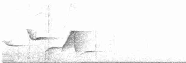 Spot-breasted Wren - ML203191721