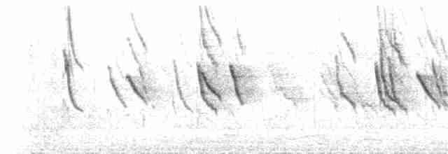 Wakatobi White-eye - ML203244381