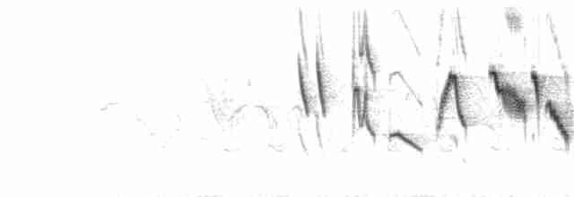 Wakatobi White-eye - ML203244401