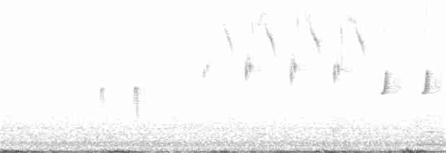 Шишкар ялиновий - ML203261891