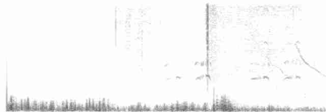 Snowy-crowned Tern - ML203263141