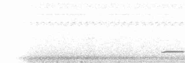 Small-billed Tinamou - ML203271901