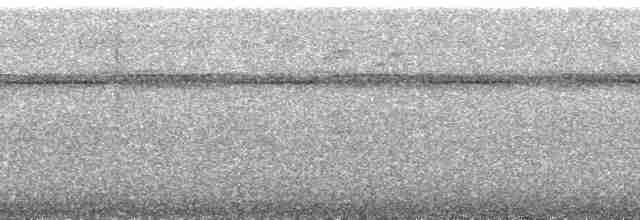Зондский дронго - ML203307