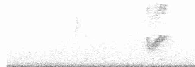 Savannennachtschwalbe - ML20331601