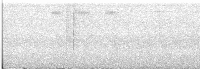 Gözlüklü Yerçavuşu - ML203347081