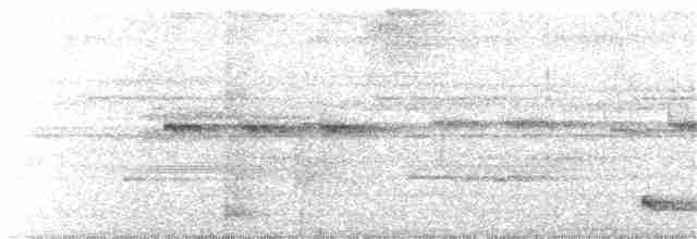 Silky-tailed Nightjar - ML203382831