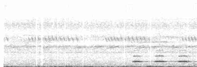 Сплюшка мадагаскарська (підвид rutilus) - ML203448241